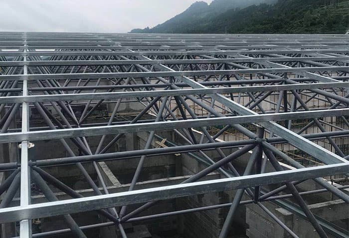 凤城学校艺体楼网架